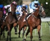 Bet On Horse Racing Online