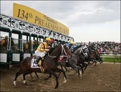 Preakness Stakes Race Start