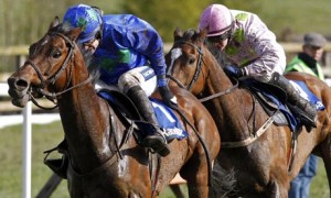 Hurricane Fly (left) wins the Rabobank Champion Hurdle at 2012 Punchestown Festival