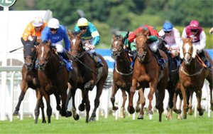 Imperial-Djay-determined-to-win-Bet365-Handicap-169000