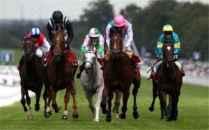 Labarinto-making-a-comeback-at-Newbury-through-the-Berry-Bros-Rudd-Magnum-Spring-Cup-Handicap-on-21st-April-147535