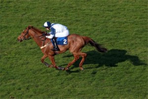 York-Glory-expected-to-win-Investec-Specialist-Bank-Dash-Handicap-159072