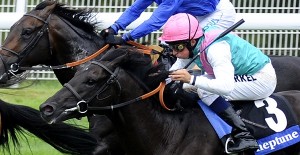 Goodwood Races