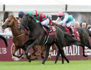 Kizuna wins Prix Niel